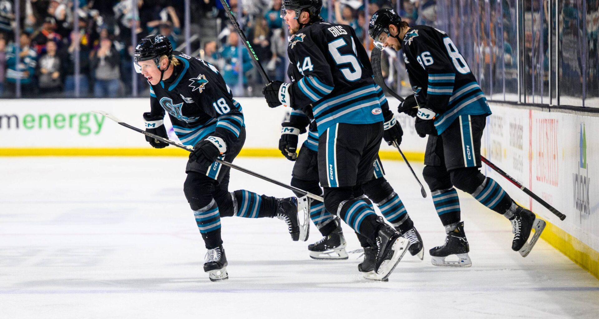 San Jose Barracuda celebrate a goal.