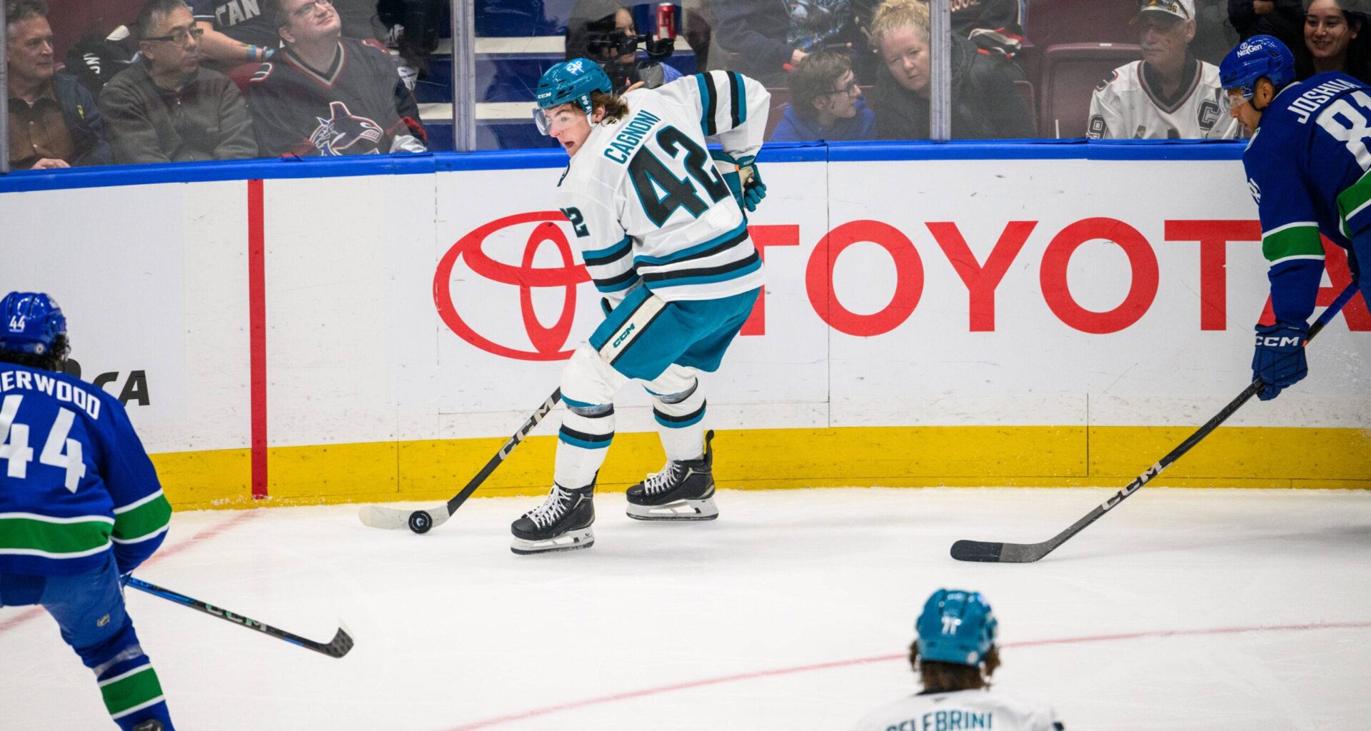 San Jose Sharks defenseman Luca Cagnoni