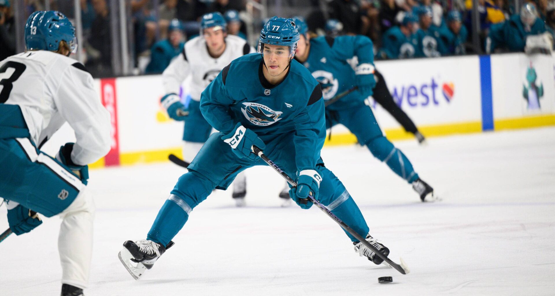 San Jose Sharks top prospect Michael Misa