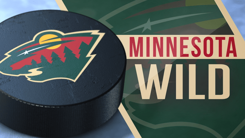 Minnesota Wild to host block party in Rochester on Thursday - ABC 6 News