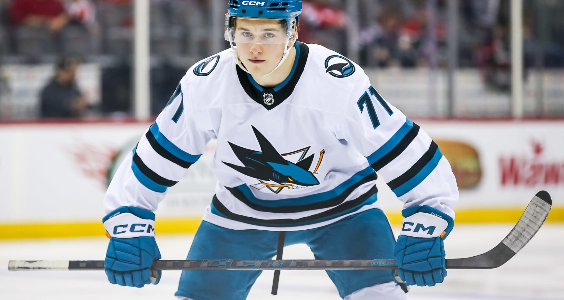 Macklin Celebrini San Jose Sharks