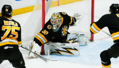 Providence Bruins goaltender Michael DiPietro #30