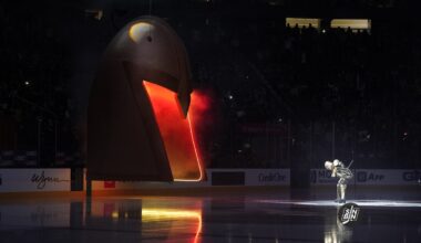 VGK Lands On List They're Probably Unqualified For