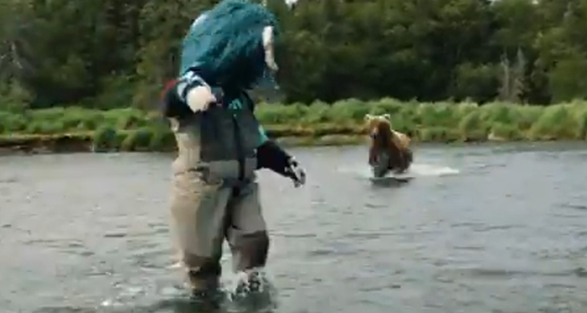 Terrifying moment NHL star John Hayden and mascot are charged by deadly grizzly bear while shooting fishing promo video