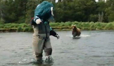 Terrifying moment NHL star John Hayden and mascot are charged by deadly grizzly bear while shooting fishing promo video