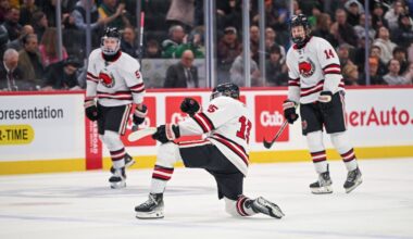 Lakeland native Luca Jarvis commits to Minnesota hockey