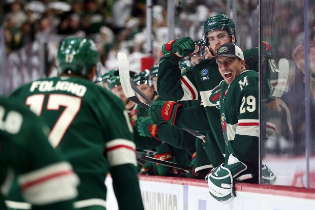 Minnesota Wild celebrate