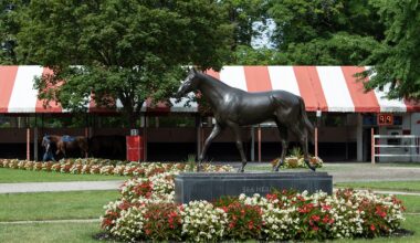 Saratoga's Fan Appreciation Week Led By Local Hoops, Hockey Head Coaches Signing