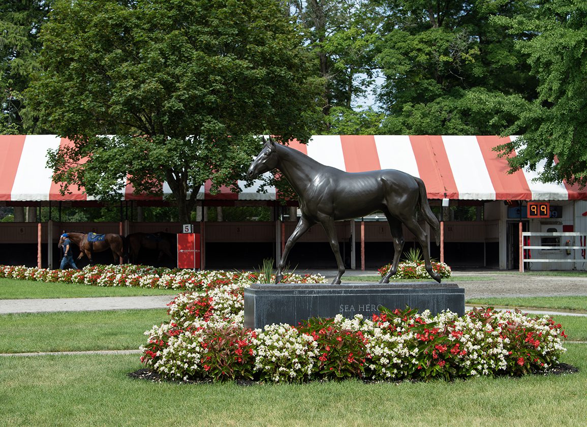 Saratoga's Fan Appreciation Week Led By Local Hoops, Hockey Head Coaches Signing