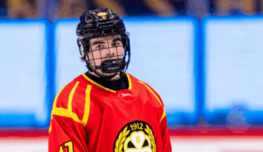 Michal Svrcek, Red Wings prospect