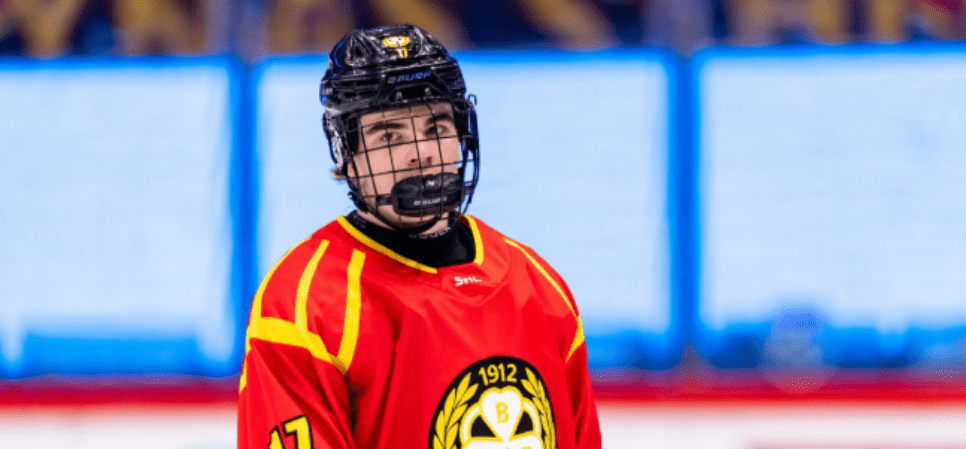 Michal Svrcek, Red Wings prospect