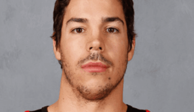 Travis Hamonic, Red Wings