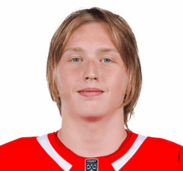 Nikita Tyurin, Red Wings prospect