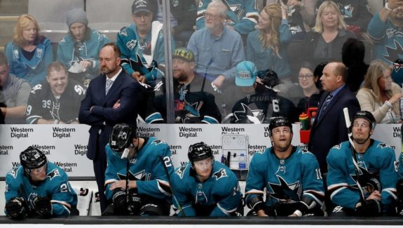San Jose Sharks Peter DeBoer