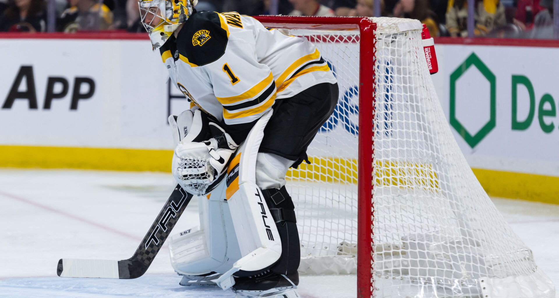 Are Bruins being Undervalued? | Poke the Bear