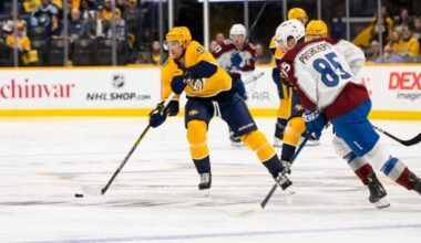 4 Prospects That Could Earn a Permanent Roster Spot With Avalanche