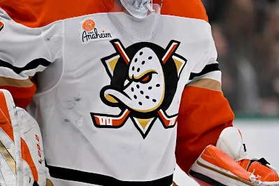 Anaheim Ducks jersey.