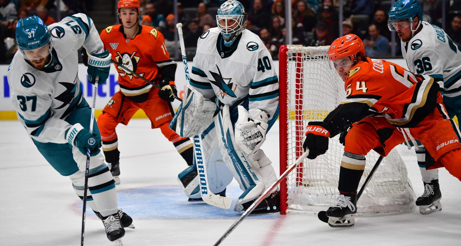 Sam Colangelo Re-signs with Anaheim Ducks