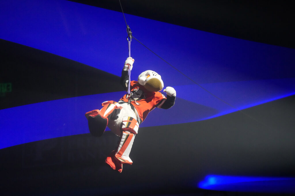 Special Teams and Coaching Search