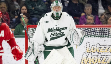 Red Wings NCAA prospects