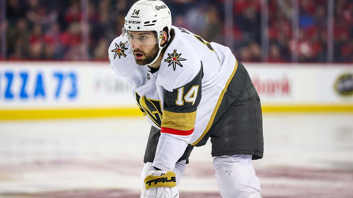 ; Vegas Golden Knights defenseman Nicolas Hague (14) against the Calgary Flames during the first period at Scotiabank Saddledome. 