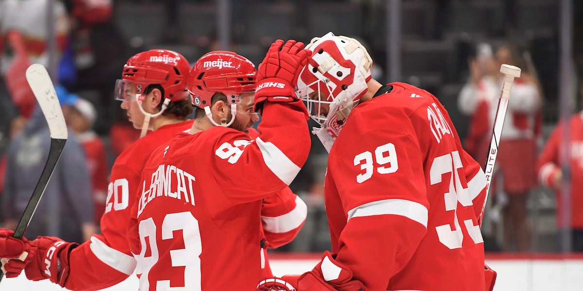 Red Wings beat slumping Panthers 2-1, keeping fading hopes alive of ending 9-year postseason drought