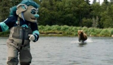 Download app from appStore