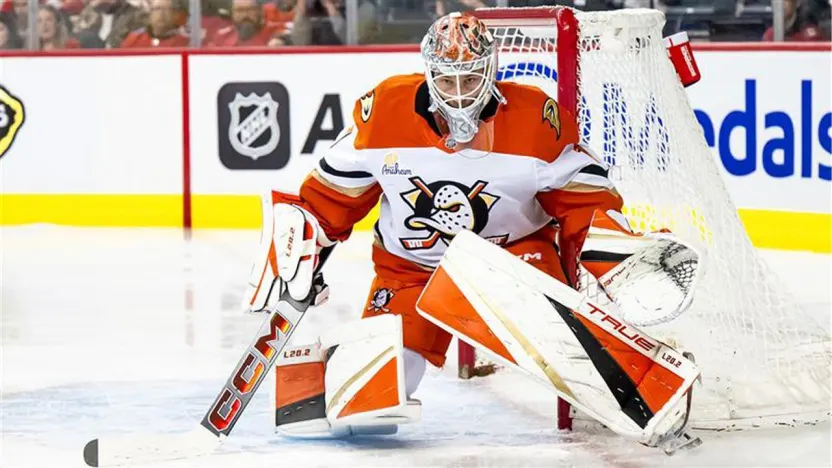 Anaheim Ducks via the team's official website