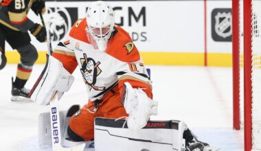 Howden, Hertl, Dorofeyev all score in Golden Knights' 3-2 win over Ducks