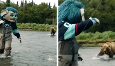 Watch the Moment a NHL Mascot Is Charged by a Grizzly Bear