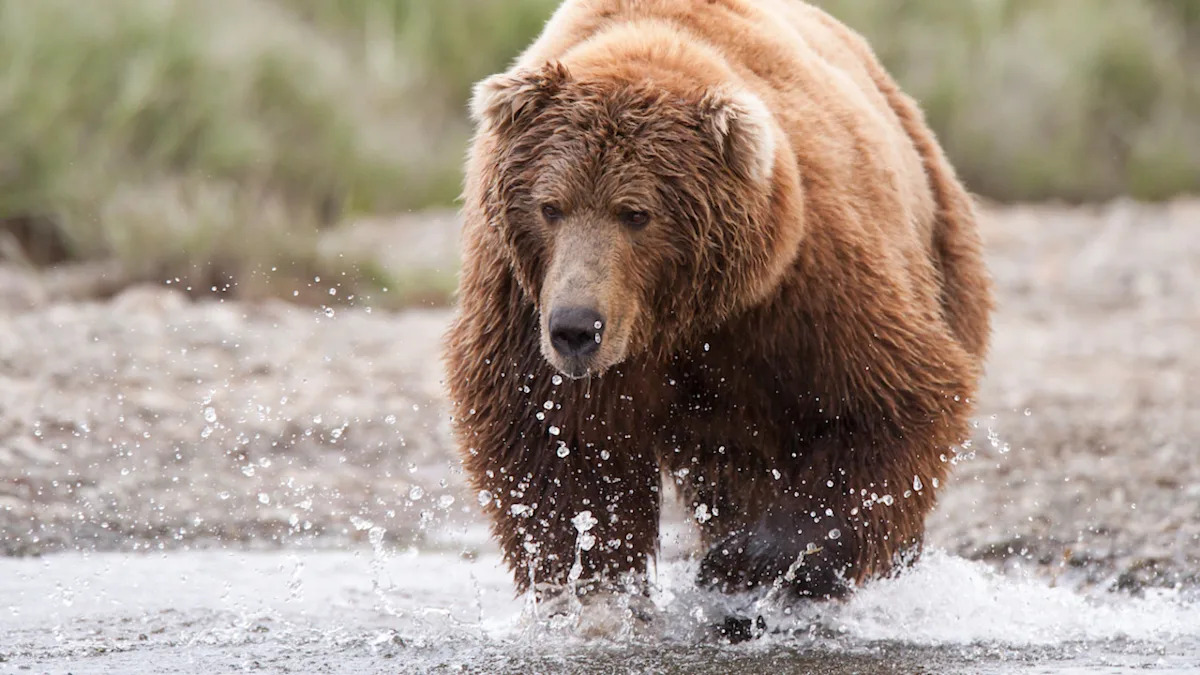 Yahoo lifestyle home