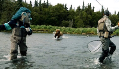 PETA sends letter about fishing to Kraken after viral bear video