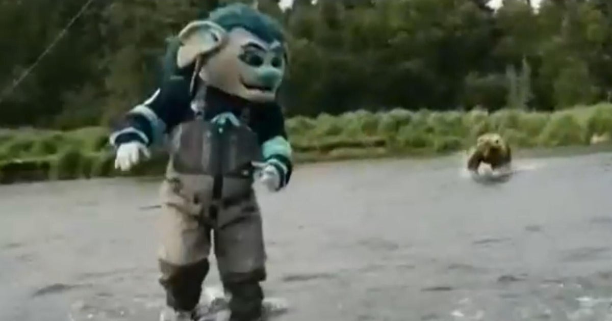 Bear charges Seattle Kraken mascot and player during promotional shoot