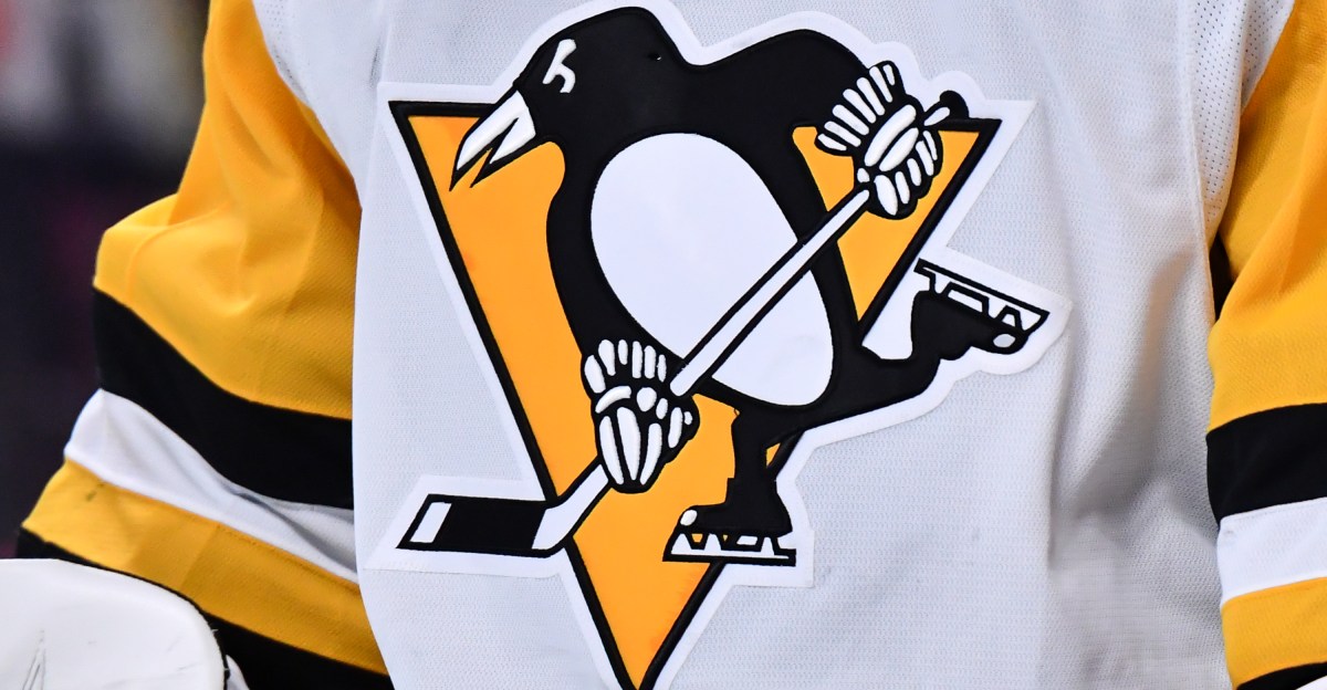 Ryan Papaioannou named new head coach of the Wheeling Nailers