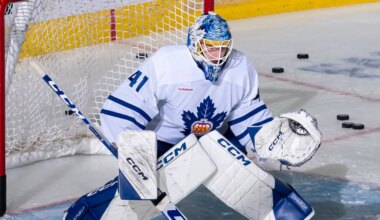 Dennis Hildeby of the Toronto Marlies warms up.
