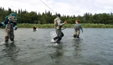 US hockey mascot has close call with bear during Alaska video shoot