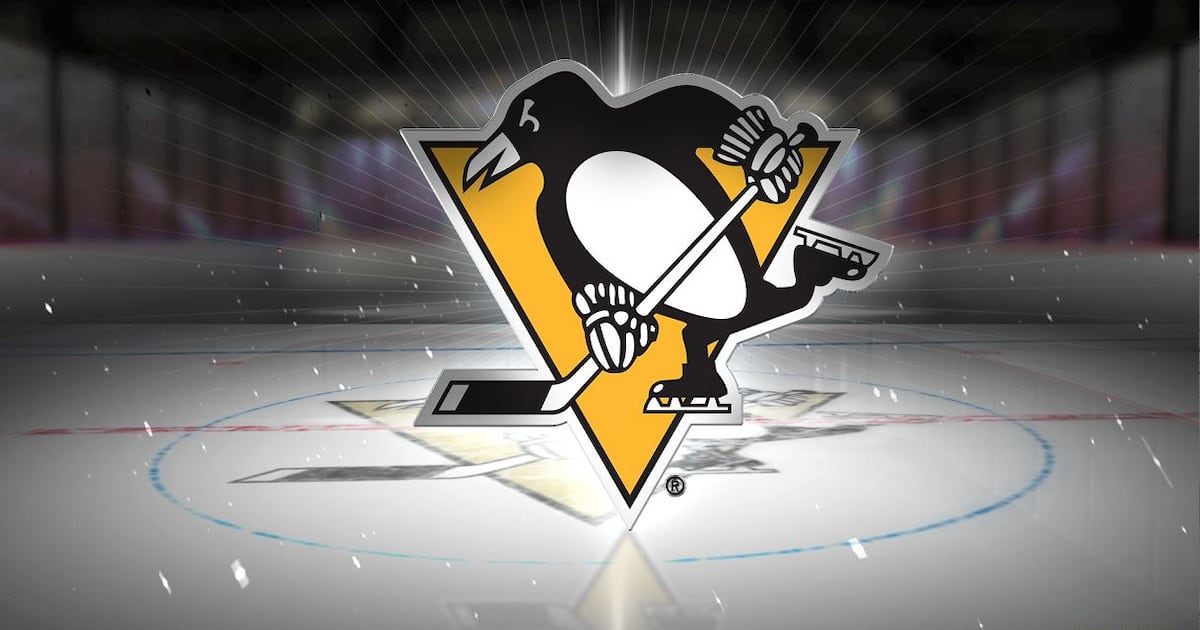Pittsburgh Penguins announce Evan McFeeters as new Roving Minor League coach – WPXI