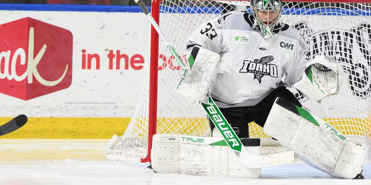 Ben Kraws is on an NHL playoff roster in large part thanks to the NCAA transfer portal