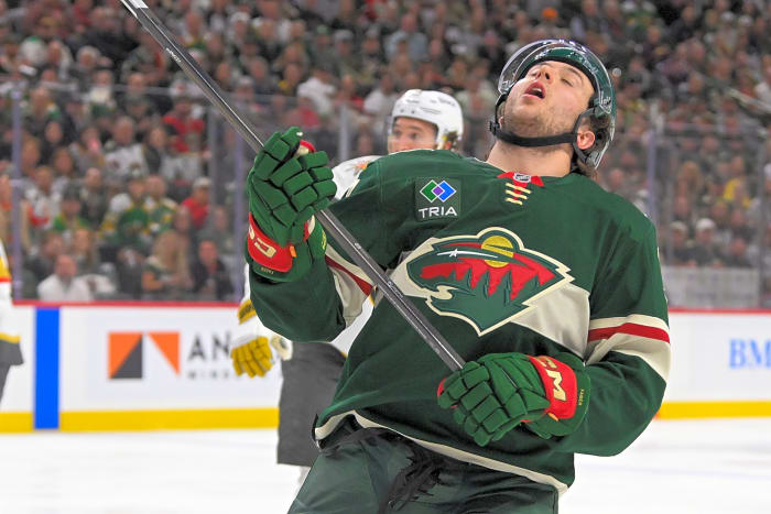Minnesota Wild (24 seasons)