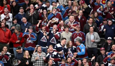 Colorado Avalanche fans cheer after a goal against the Vegas Golden Knights in the second period of an NHL hockey game Tuesday, April 8, 2025, in Denver.