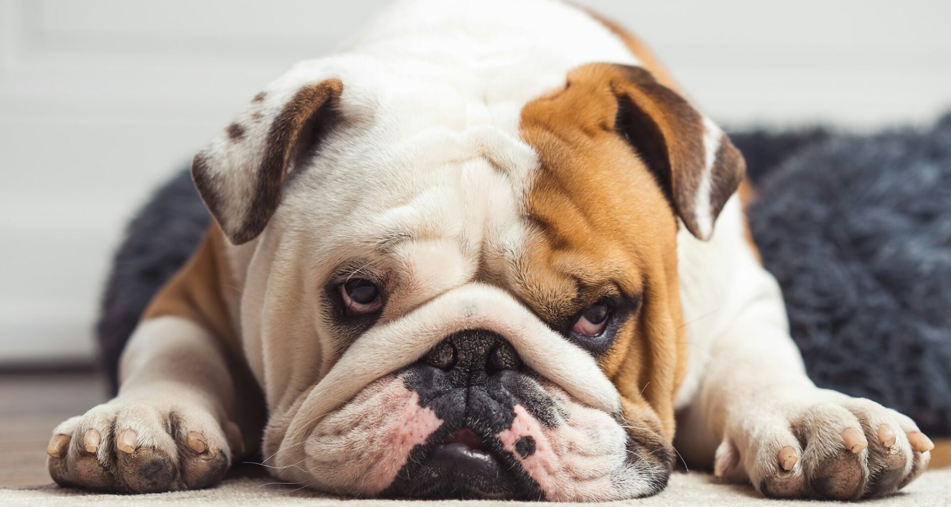 Ottawa Senators Top 25 Under 25, #16: Jorian Donovan