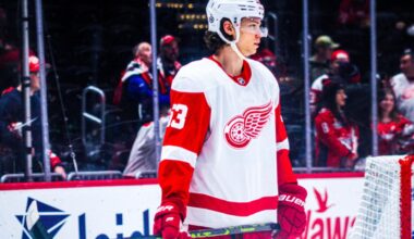 Moritz Seider, Red Wings