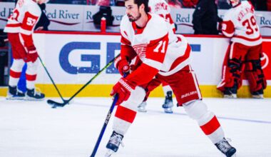 Dylan Larkin, Red Wings