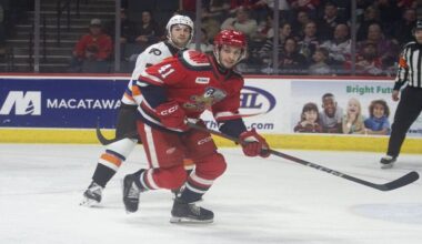 Ondrej Becher, Red Wings prospect