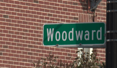 Man killed in hit-and-run after leaving Detroit Red Wings game