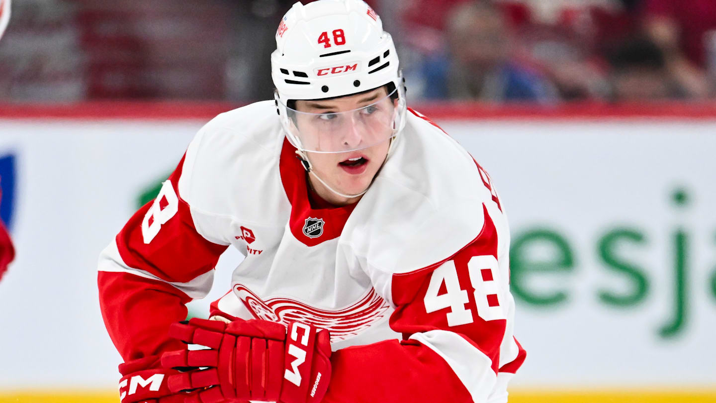 Detroit Red Wings v Montreal Canadiens