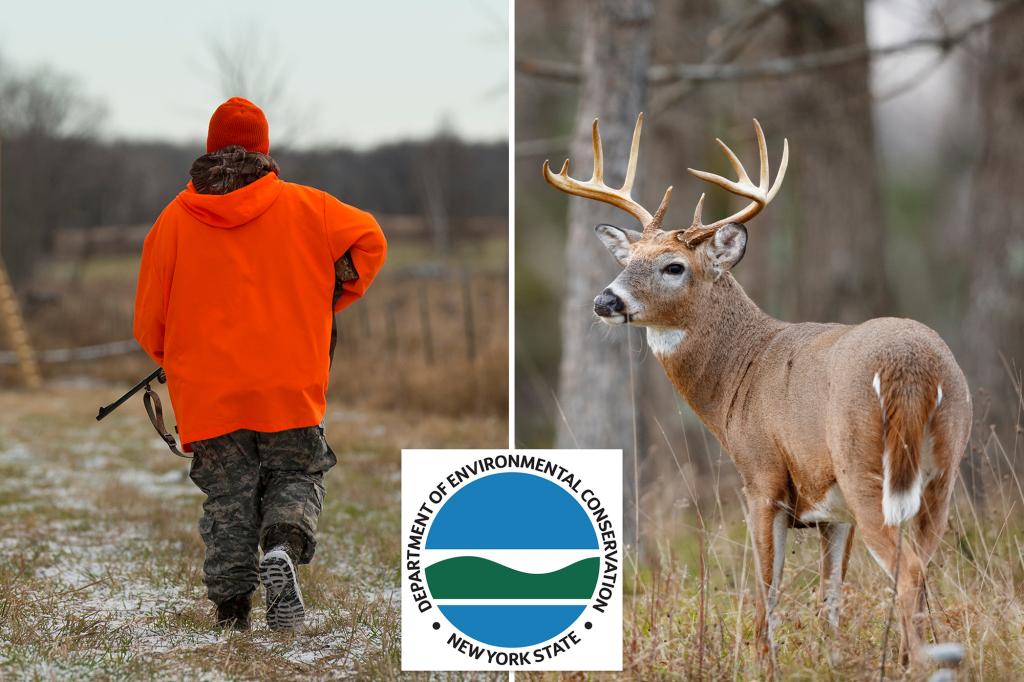 Long Islanders asked to slaughter deer as growing wildlife population wreaks havoc