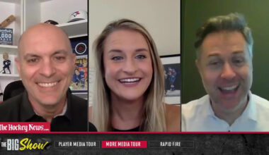 Former Stars Goaltender Retires from Hockey