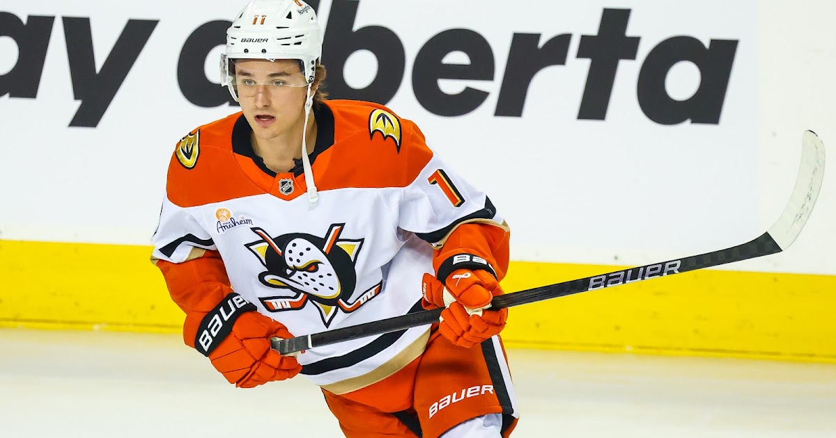 Anaheim Ducks: Best Addition & Worst Subtraction Of 2025 NHL Offseason