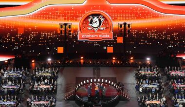 Anaheim Ducks Terminate Prospect's Contract